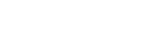 Global Solutions for Aviation Organizations Logo